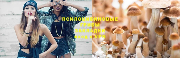 стаф Абаза