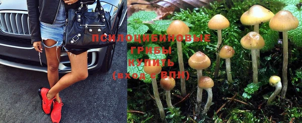 стаф Абаза