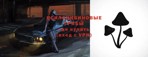 стаф Абаза