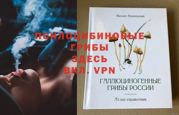 стаф Абаза