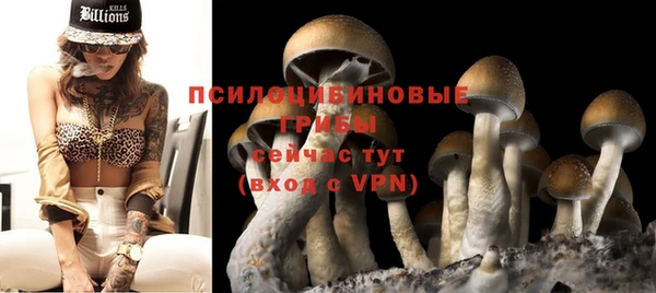 стаф Абаза