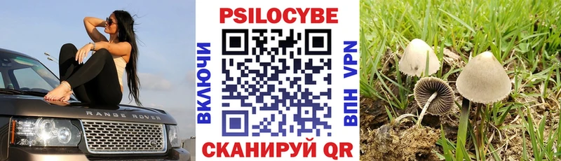 гидра ТОР  где можно купить   Духовщина  Галлюциногенные грибы мухоморы 